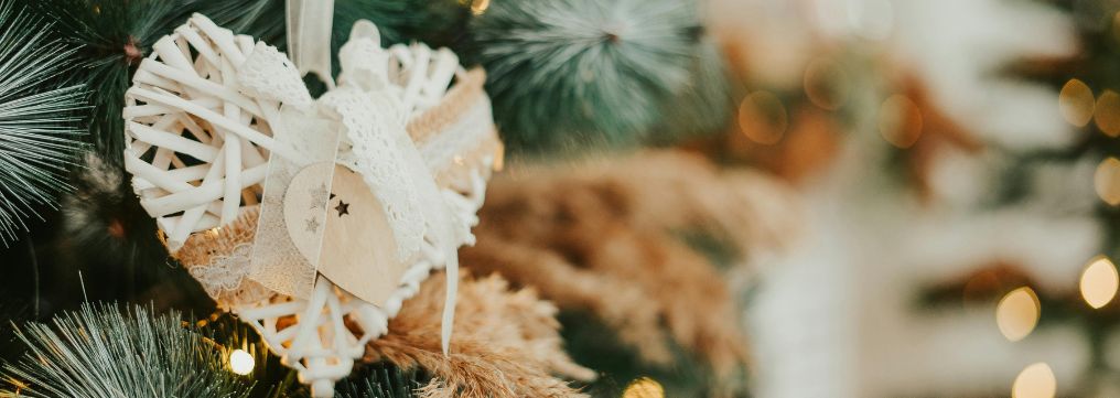 Cenoni e brindisi: rimedi naturali per la digestione e il comfort dell'intestino