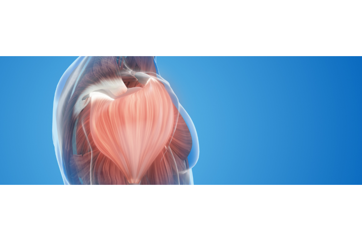 Dolori muscolari post palestra: rimedi pratici