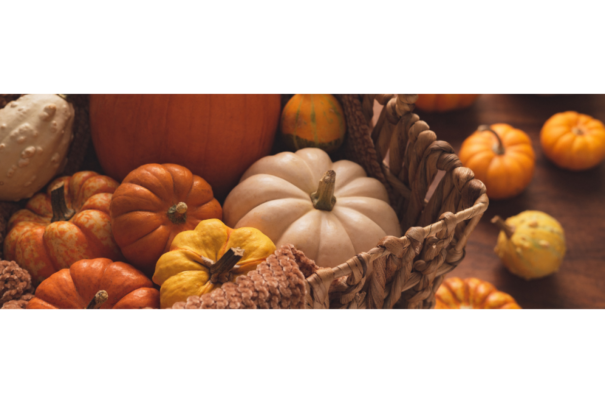 Zucca: tutte le proprietà benefiche