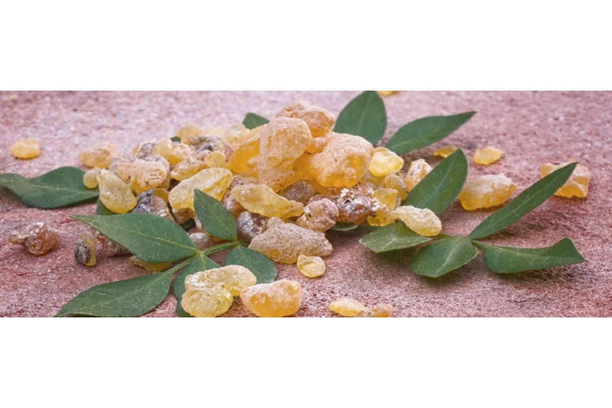 Boswellia a cosa serve? l'integratore utile per tornare in movimento. Boswellia a cosa serve? l'integratore utile per tornare in movimento.