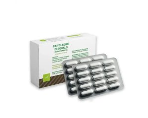 Cartilagine di squalo OTI integratore alimentare 60 capsule
