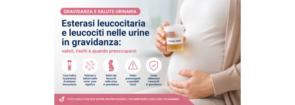 Esterasi leucocitaria e leucociti nelle urine in gravidanza: valori e rischi