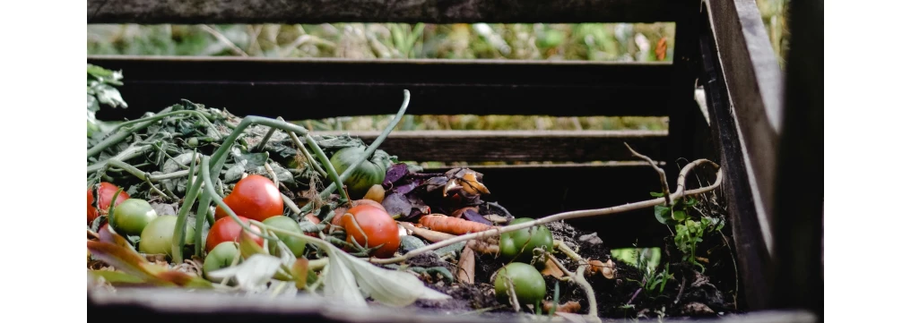 Guida Completa al Bicarbonato di Potassio: Uso e Benefici