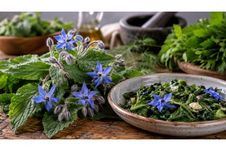 Borragine: benefici, tossicità, parti commestibili, usi in cucina e controindicazioni