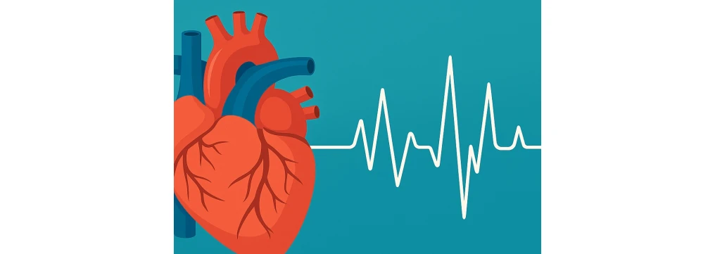 Battito cardiaco: valori normali, frequenza ottimale e quando preoccuparsi Battito cardiaco: valori normali, frequenza ottimale e quando preoccuparsi