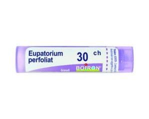 Boiron Eupatorium Perfoliatum Diluizione Omeopatica 30 Centesimale in Tubo Granuli per Sintomi Influenzali e Dolori Osteoarticolari