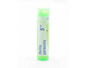 Boiron Bellis Perennis 5 CH Tubo Granuli Omeopatici per Uso Orale – Rimedio Naturale alla Margherita Pratolina