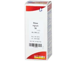Ribes Nigrum Granuli Omeopatici in Tubo Diluizione Nove Centesimale per Benessere Naturale e Difese Immunitarie