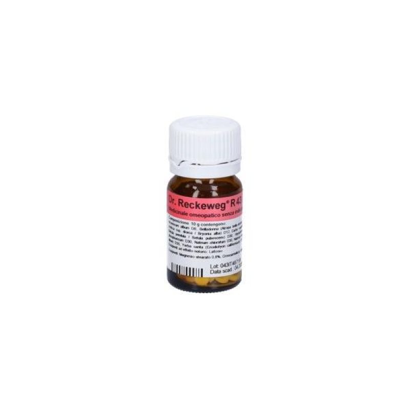 Dr.reckeweg & Co. Gmbh Reckeweg R43 100cpr 0,1g