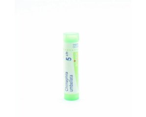 Chimaphila umbellata 5CH granuli Boiron - rimedio omeopatico in granuli 5CH