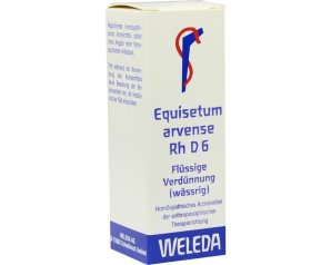 Equisetum Arvense 6CH granuli - rimedio omeopatico a base di equiseto