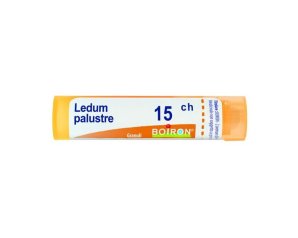 Ledum Palustre 15 CH Granuli Omeopatici in Tubo – Rimedio Naturale per Punture di Insetti and Dolori Articolari