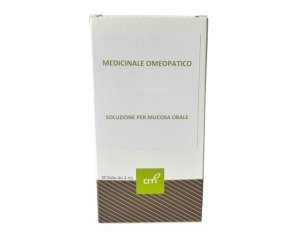 Sepia 06LM Pot 20f Pianta Ornamentale in Vaso da 20 cm per Interni ed Esterni