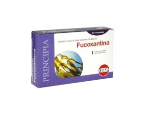 Fucodin alimentare 60 capsule Tesla - integratore a base di fuco per metabolismo e peso corporeo