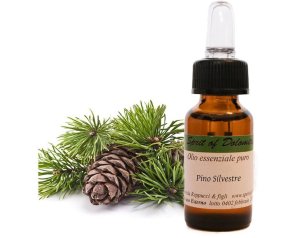 Eos Natura Olio Essenziale di Pino Silvestre 12 ml – Aroma Naturale Purificante e Balsamico