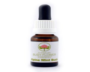 Alpine Mint Bush essenza 15 ml - essenza floreale australiana per benessere emotivo