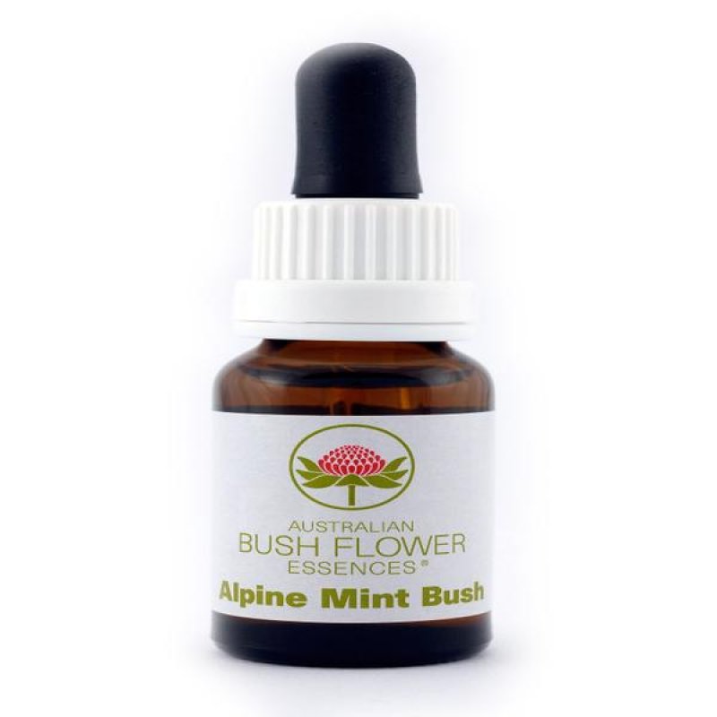 Alpine Mint Bush essenza 15 ml - essenza floreale australiana per benessere emotivo Alpine Mint Bush essenza 15 ml - essenza floreale australiana per benessere emotivo