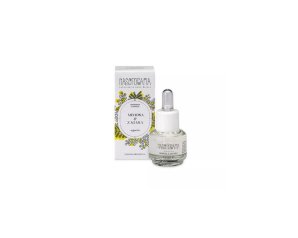 Gratefulness Essenza 15 ml