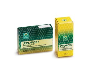 Ecol Sas Propoli 50 Tavolette 728