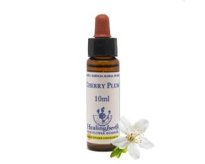 Cherry Plum Fiore di Bach Essenza Naturale in Gocce 10 Millilitri Rimedio Emozionale Ingl Herb per Controllo e Calma