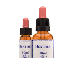 Heather essenza 10 ml English Herbs - fiore di Bach Heather per bisogno di attenzione