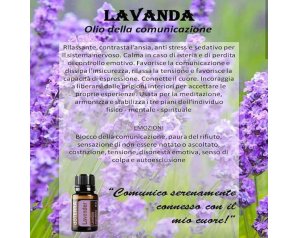 Lavender essenza 4 ml California - fiore californiano Lavender per calma e rilassamento