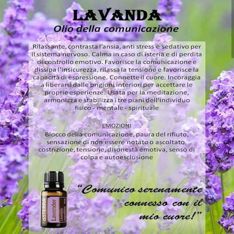 Lavender essenza 4 ml California - fiore californiano Lavender per calma e rilassamento Lavender essenza 4 ml California - fiore californiano Lavender per calma e rilassamento