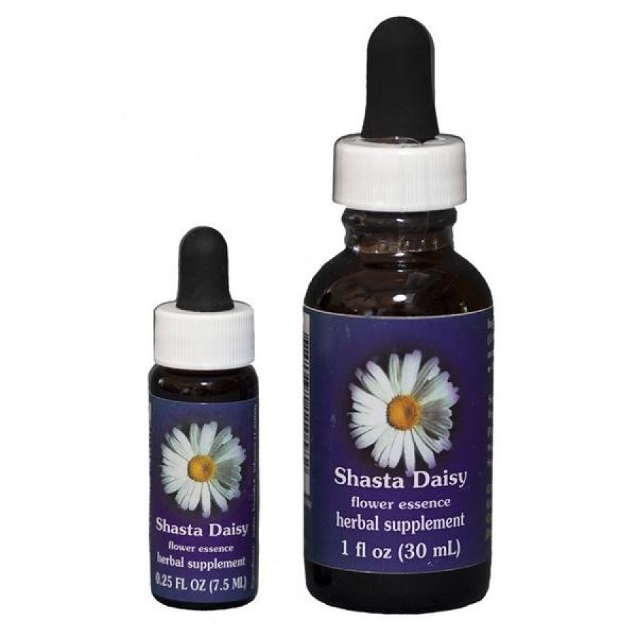 Shasta Daisy essenza 4 ml California - fiore californiano Shasta Daisy per chiarezza mentale Shasta Daisy essenza 4 ml California - fiore californiano Shasta Daisy per chiarezza mentale
