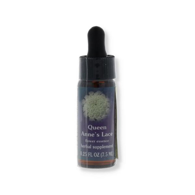 Smalto semipermanente per unghie Calf Queen Anne's Lace 7,4 millilitri colore naturale elegante per manicure professionale Smalto semipermanente per unghie Calf Queen Anne's Lace 7,4 millilitri colore naturale elegante per manicure professionale
