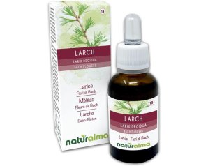 Larix Decidua 30 ml Otiflower – Essenza Floreale di Larix Decidua (Larice Europeo) per Fiducia, Autostima e Benessere Emozionale