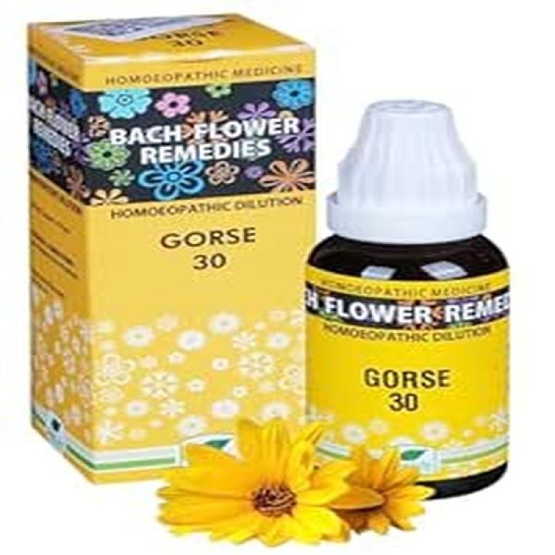 Gorse Fiori di Bach Gocce 30 ml Oti – Rimedio Floreale Naturale in Gocce