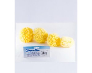 BIEMMEFARMA Spugna Mare Naturale XL – Spugna Marina Morbida per Bagno e Doccia