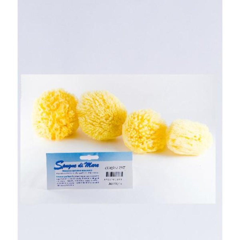 BIEMMEFARMA Spugna Mare Naturale XL &ndash; Spugna Marina Morbida per Bagno e Doccia