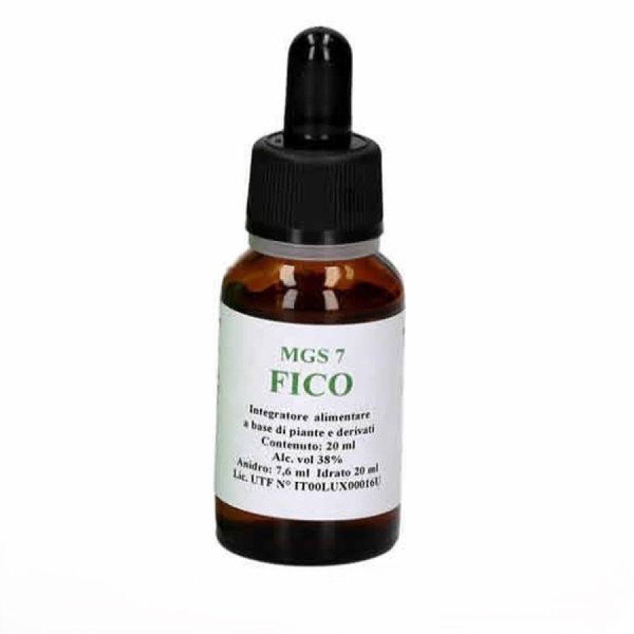 Mgs 7 Fico Gocce Orali 20 ml Integratore a Base di Ficus Carica Macerato Glicerico per il Benessere Digestivo Mgs 7 Fico Gocce Orali 20 ml Integratore a Base di Ficus Carica Macerato Glicerico per il Benessere Digestivo