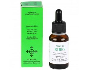 Integratore a Base di Ribes Nero MGS16 in Gocce, Soluzione Orale 20 ml per Benessere della Pelle e Difese Immunitarie