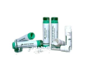 Armonic 39 Rescue 70 g Tesla - preparato ai fiori di Bach Rescue in granuli