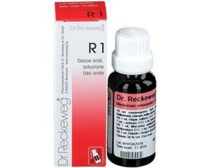 Dr.reckeweg & Co. Gmbh Reckeweg R33 Gocce 22ml