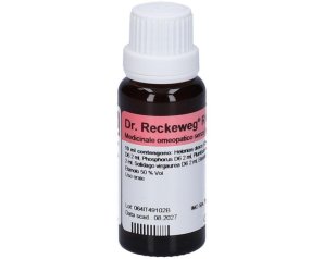 Dr.reckeweg & Co. Gmbh Reckeweg R64 Gocce 22ml