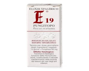 Elixir SPG E19 Pungitopo 10 ml - gocce fitoterapiche a base di pungitopo
