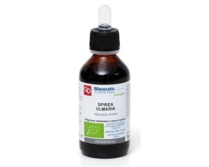 Spirea Tintura Madre 100 ml Catia – Integratore Erboristico Naturale per il Benessere delle Articolazioni