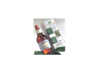 Viola Ml Tintura Madre  100  Ml - preparato fitoterapico in gocce o soluzione, a base di estratti vegetali