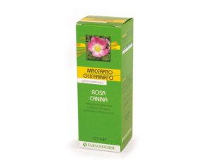 Rosa Canina Macerato Glicerico Sarandrea 100 ml Integratore Naturale Ricco di Vitamina C per le Difese Immunitarie
