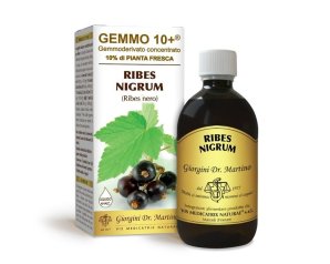 Ribes Nigrum Integratore Liquido 500 Millilitri Alta Concentrazione in Milligrammi