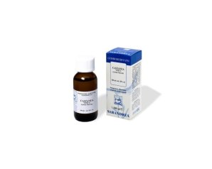 Castanea Vesca Macerato Glicerico Sarandrea Integratore Naturale al Castagno Flacone da 100 Millilitri