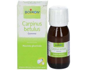Carpinus Betulus 60 ml MG - gemmoderivato di carpino per drenaggio linfatico