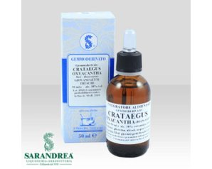 Crataegus Oxyacantha Sarand Macerato Glicerico 100 Millilitri – Estratto di Biancospino per Benessere Cardiaco e Rilassamento Naturale