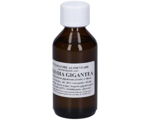 Sequoia Macerato Glicerico Sarand 100 Millilitri Estratto Gemmoderivato Naturale in Gocce