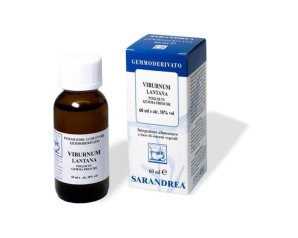 Viburnum Lantana Estratto Vegetale Liquido 1000 Millilitri – Preparato Naturale a Base di Viburnum e Lantana per Benessere Quotidiano