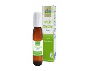 AESCULUS HIPP.MG  60ml SARAND.