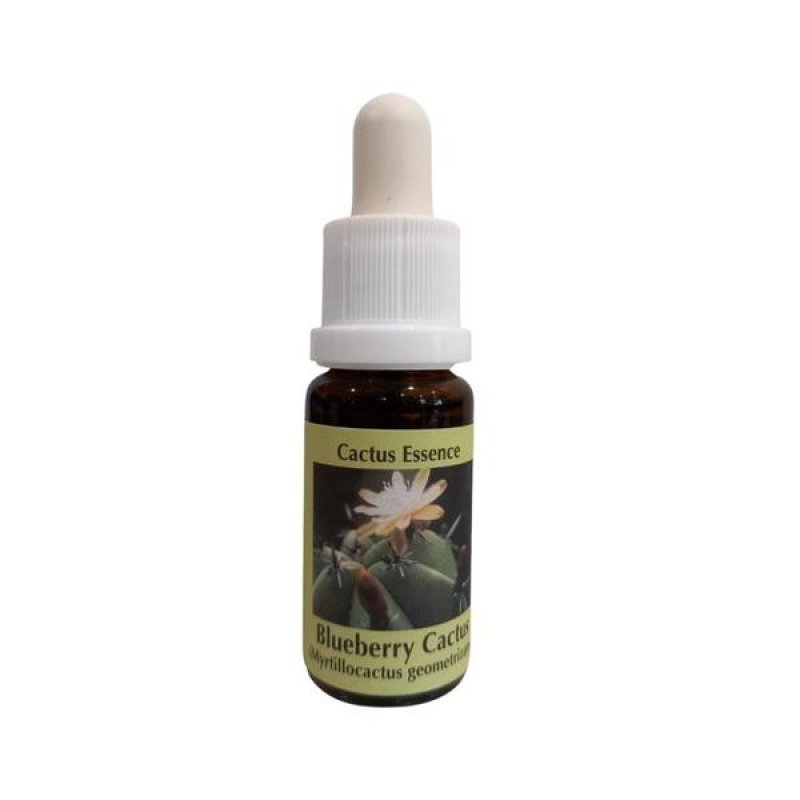 Blueberry Cactus 15 millilitri Aroma Concentrato per Sigaretta Elettronica al Gusto di Mirtillo e Cactus
